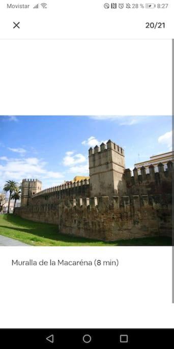 Apartamento En El Casco Antiguo Junto Alameda H. Siviglia Esterno foto